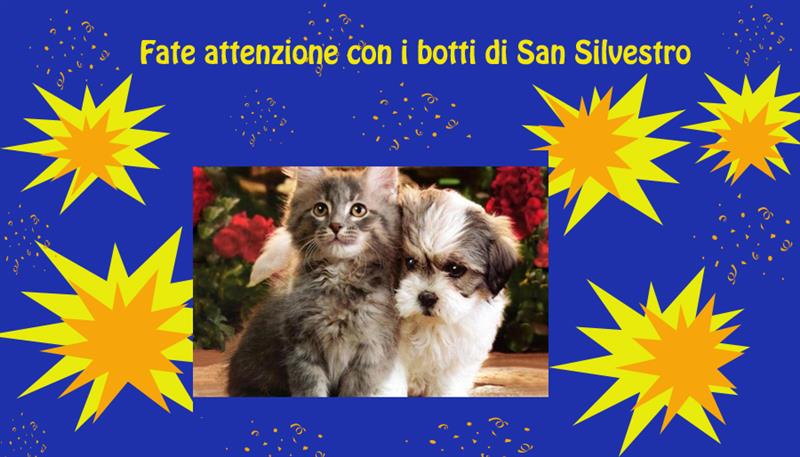 Per fine d’anno niente botti… Per fine d’anno niente botti…